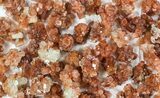 Lot: Small Twinned Aragonite Crystals - Pieces #78109-1